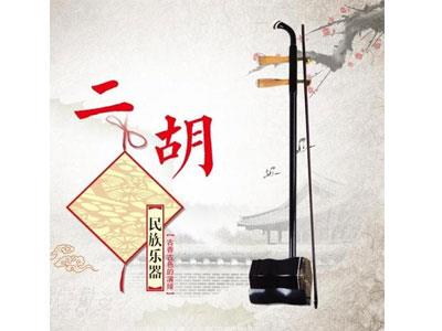 招聘防城港二胡家教老师